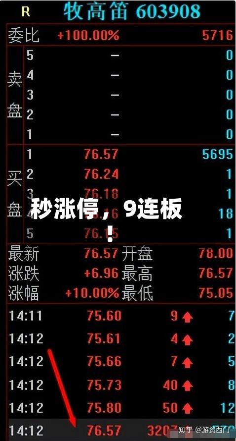 秒涨停，9连板！-第2张图片