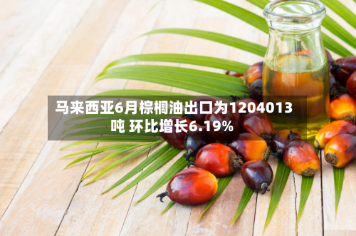 马来西亚6月棕榈油出口为1204013吨 环比增长6.19%-第2张图片