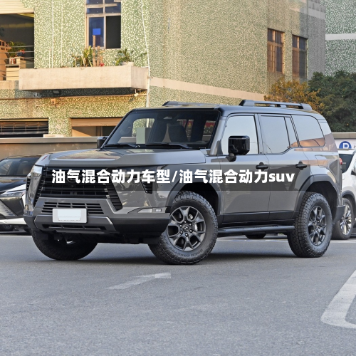 油气混合动力车型/油气混合动力suv-第3张图片