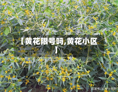 【黄花限号吗,黄花小区】