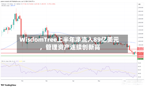 WisdomTree上半年净流入89亿美元，管理资产连续创新高-第3张图片