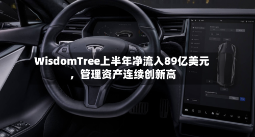 WisdomTree上半年净流入89亿美元	，管理资产连续创新高-第2张图片
