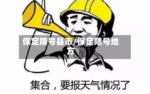 保定限号县市/保定限号地方