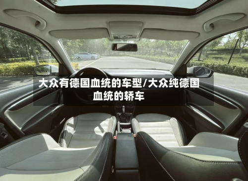 大众有德国血统的车型/大众纯德国血统的轿车