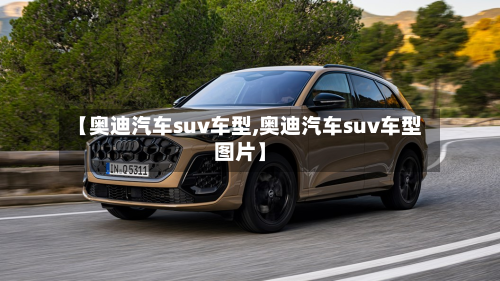【奥迪汽车suv车型,奥迪汽车suv车型图片】
