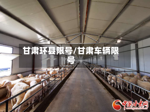 甘肃环县限号/甘肃车辆限号-第2张图片