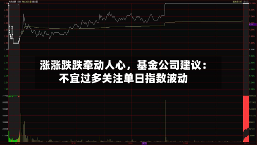 涨涨跌跌牵动人心，基金公司建议：不宜过多关注单日指数波动-第2张图片