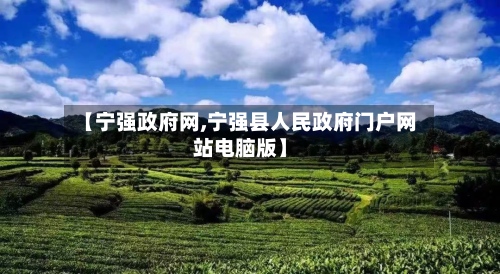 【宁强政府网,宁强县人民政府门户网站电脑版】