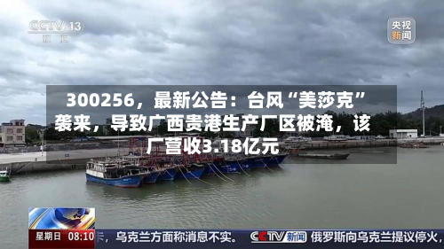 300256，最新公告：台风“美莎克	”袭来	，导致广西贵港生产厂区被淹，该厂营收3.18亿元-第2张图片