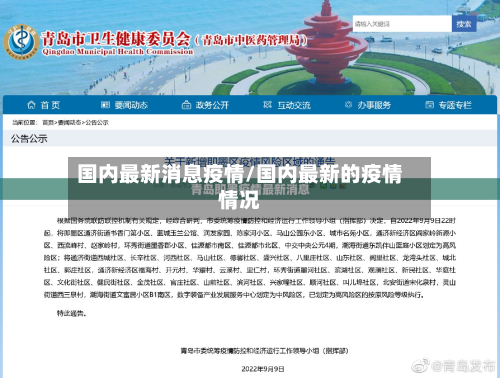 国内最新消息疫情/国内最新的疫情情况