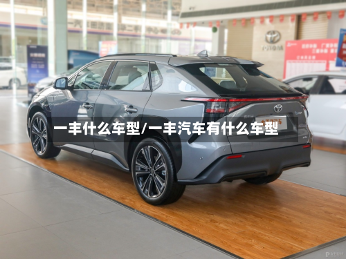 一丰什么车型/一丰汽车有什么车型-第2张图片