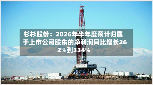杉杉股份：2026年半年度预计归属于上市公司股东的净利润同比增长262%到334%-第2张图片