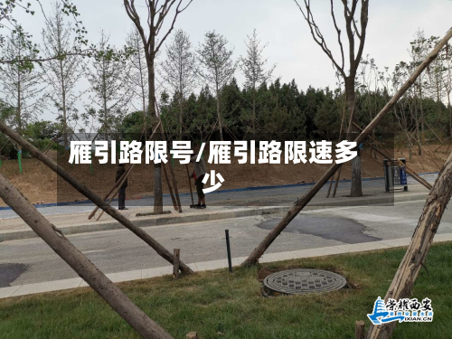 雁引路限号/雁引路限速多少