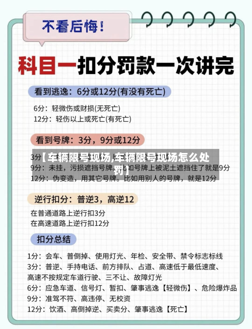 【车辆限号现场,车辆限号现场怎么处罚】