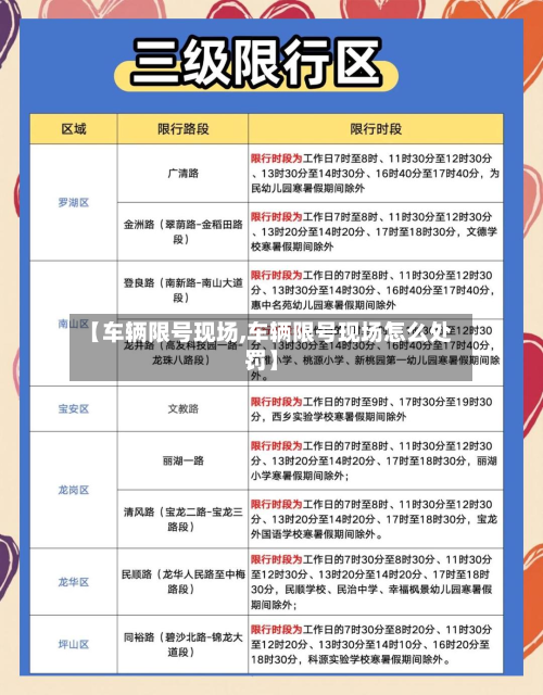 【车辆限号现场,车辆限号现场怎么处罚】-第3张图片