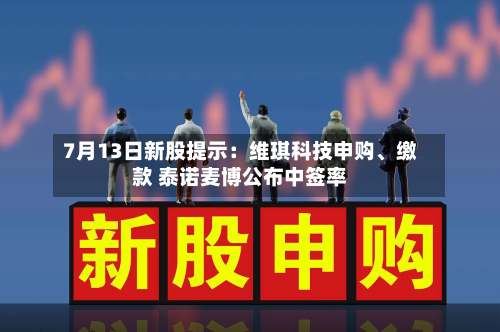 7月13日新股提示：维琪科技申购、缴款 泰诺麦博公布中签率-第2张图片