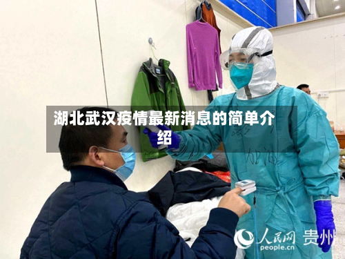湖北武汉疫情最新消息的简单介绍-第2张图片