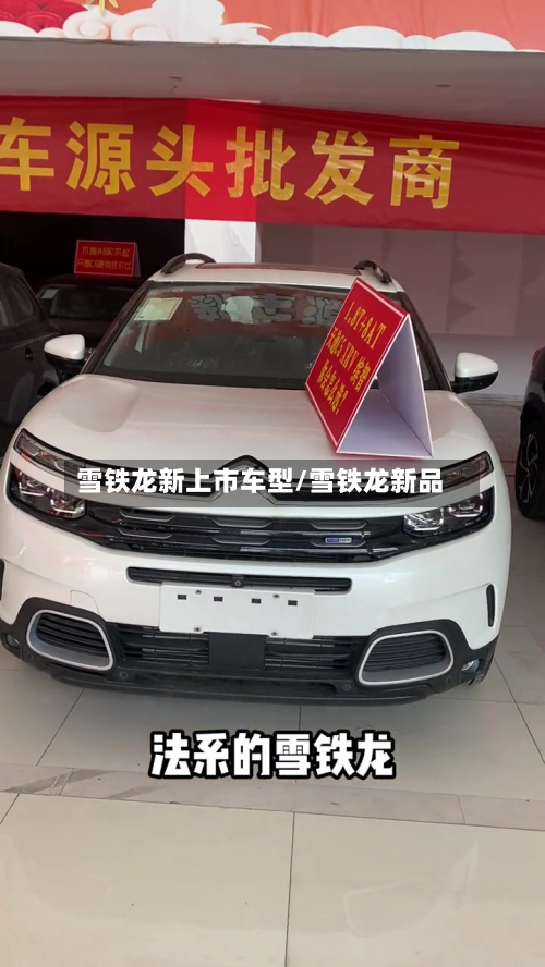 雪铁龙新上市车型/雪铁龙新品-第3张图片