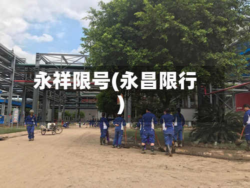 永祥限号(永昌限行)-第3张图片