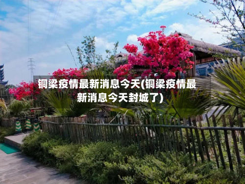 铜梁疫情最新消息今天(铜梁疫情最新消息今天封城了)