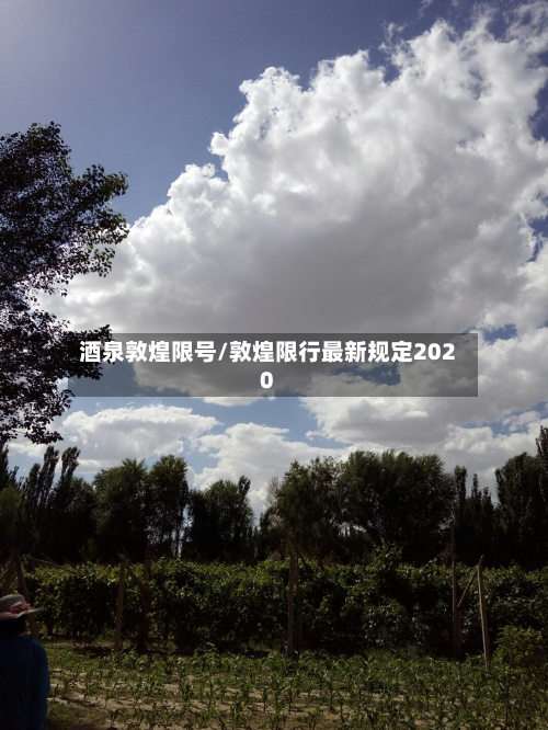 酒泉敦煌限号/敦煌限行最新规定2020-第2张图片