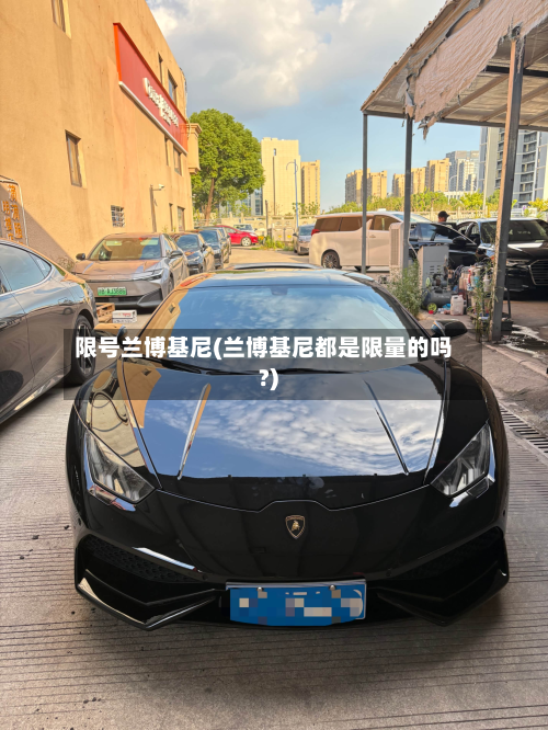 限号兰博基尼(兰博基尼都是限量的吗?)-第2张图片