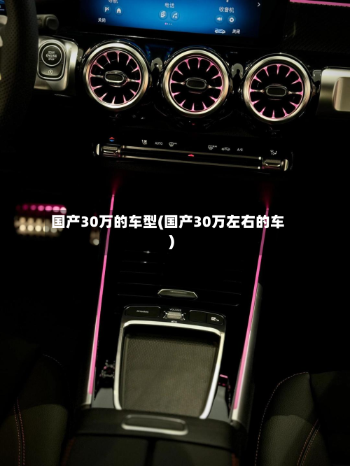 国产30万的车型(国产30万左右的车)-第3张图片