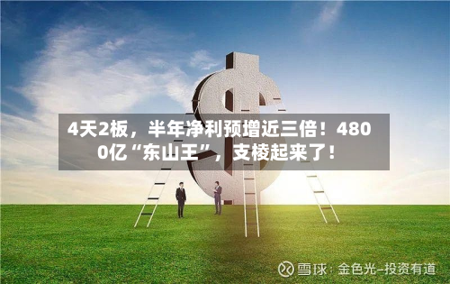 4天2板，半年净利预增近三倍！4800亿“东山王	”，支棱起来了！-第2张图片