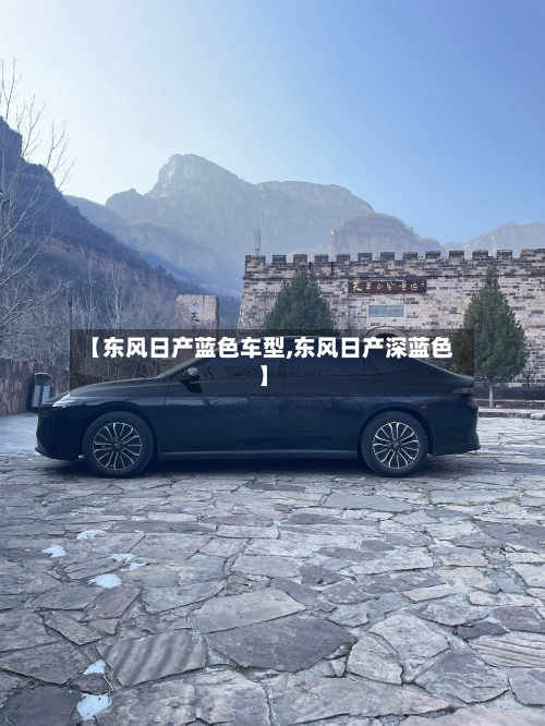 【东风日产蓝色车型,东风日产深蓝色】