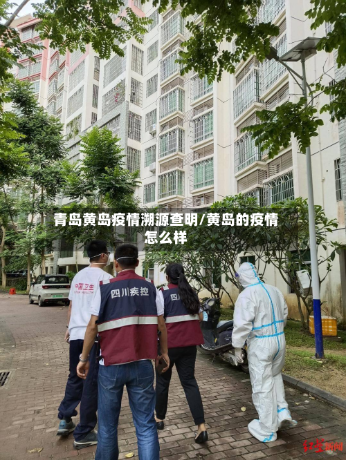 青岛黄岛疫情溯源查明/黄岛的疫情怎么样
