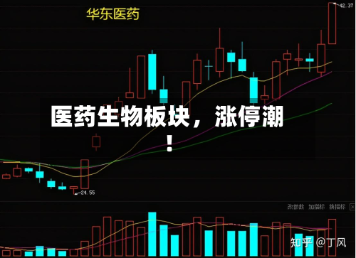 医药生物板块，涨停潮！