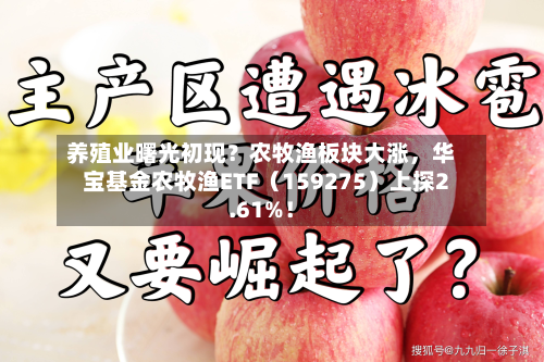 养殖业曙光初现？农牧渔板块大涨，华宝基金农牧渔ETF（159275）上探2.61%！