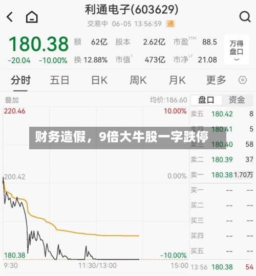 财务造假，9倍大牛股一字跌停-第3张图片