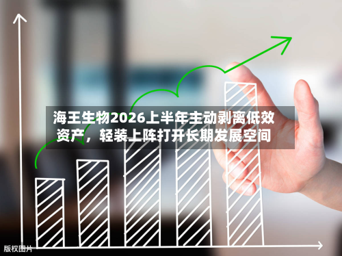 海王生物2026上半年主动剥离低效资产	，轻装上阵打开长期发展空间-第2张图片