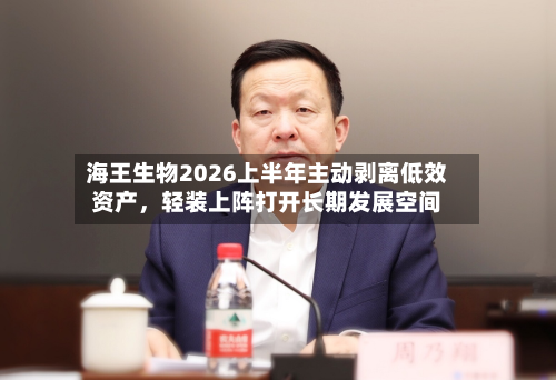 海王生物2026上半年主动剥离低效资产，轻装上阵打开长期发展空间-第3张图片