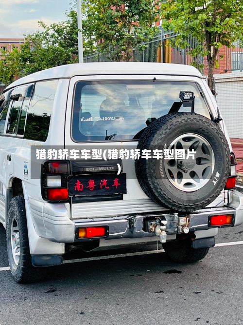 猎豹轿车车型(猎豹轿车车型图片)