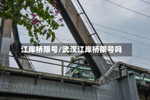 江岸桥限号/武汉江岸桥限号吗