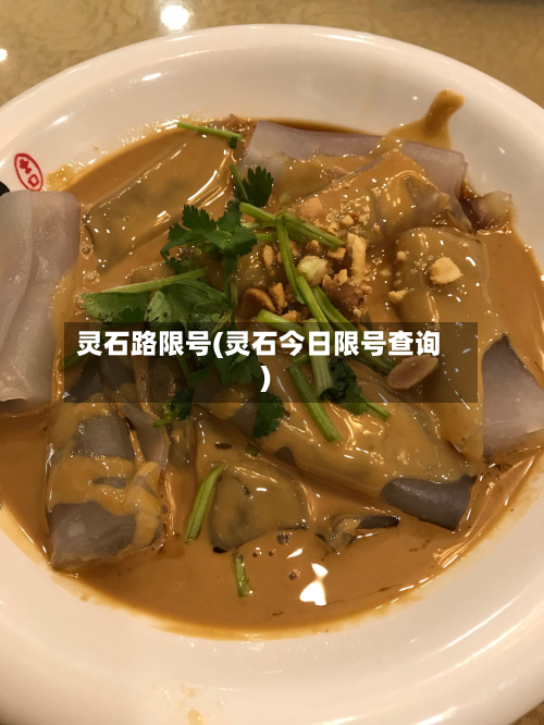 灵石路限号(灵石今日限号查询)