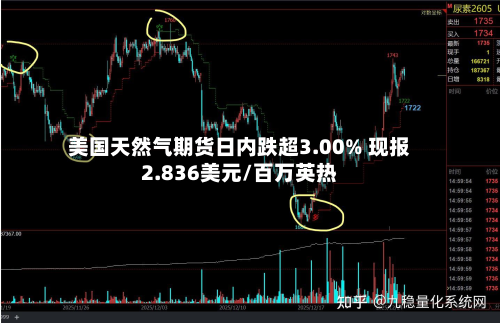 美国天然气期货日内跌超3.00% 现报2.836美元/百万英热