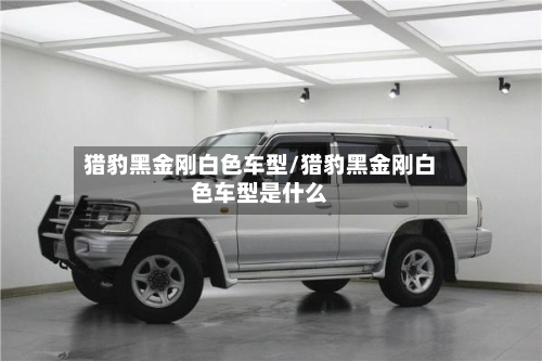 猎豹黑金刚白色车型/猎豹黑金刚白色车型是什么