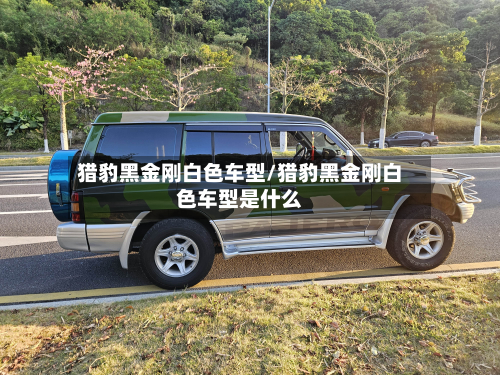 猎豹黑金刚白色车型/猎豹黑金刚白色车型是什么-第3张图片