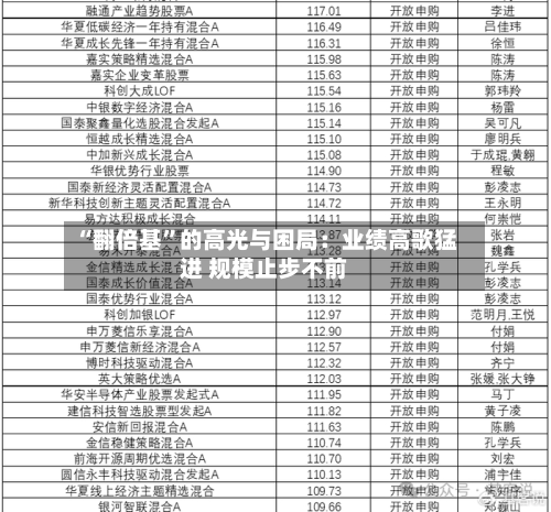 “翻倍基”的高光与困局：业绩高歌猛进 规模止步不前-第2张图片