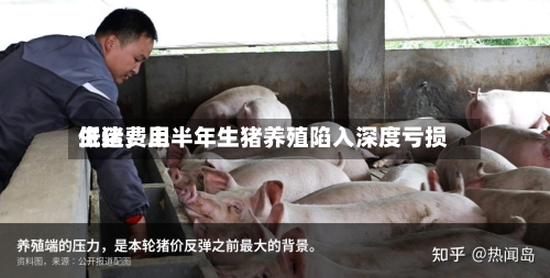 生猪费用低迷，上半年生猪养殖陷入深度亏损-第1张图片