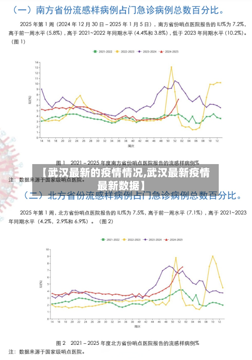 【武汉最新的疫情情况,武汉最新疫情最新数据】-第2张图片