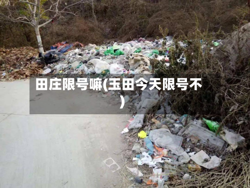 田庄限号嘛(玉田今天限号不)