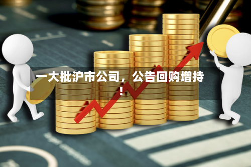 一大批沪市公司，公告回购增持！-第3张图片