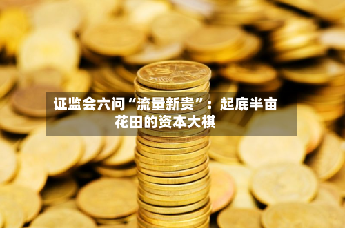 证监会六问“流量新贵”：起底半亩花田的资本大棋-第2张图片