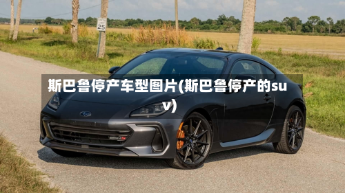 斯巴鲁停产车型图片(斯巴鲁停产的suv)-第2张图片