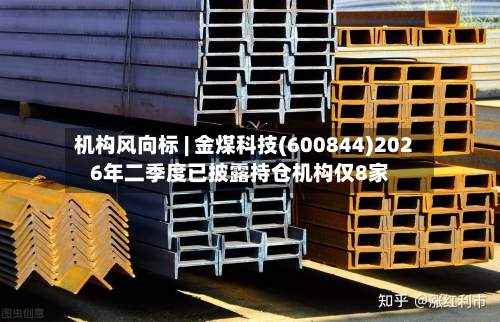 机构风向标 | 金煤科技(600844)2026年二季度已披露持仓机构仅8家-第2张图片