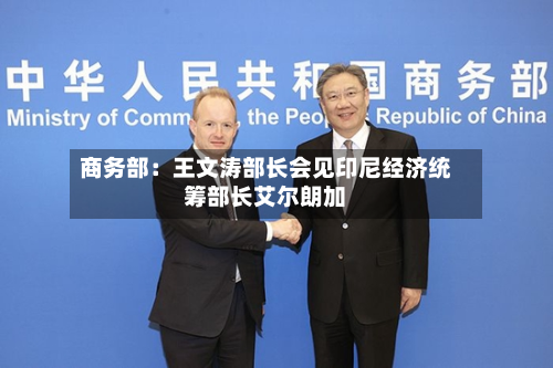 商务部：王文涛部长会见印尼经济统筹部长艾尔朗加-第2张图片